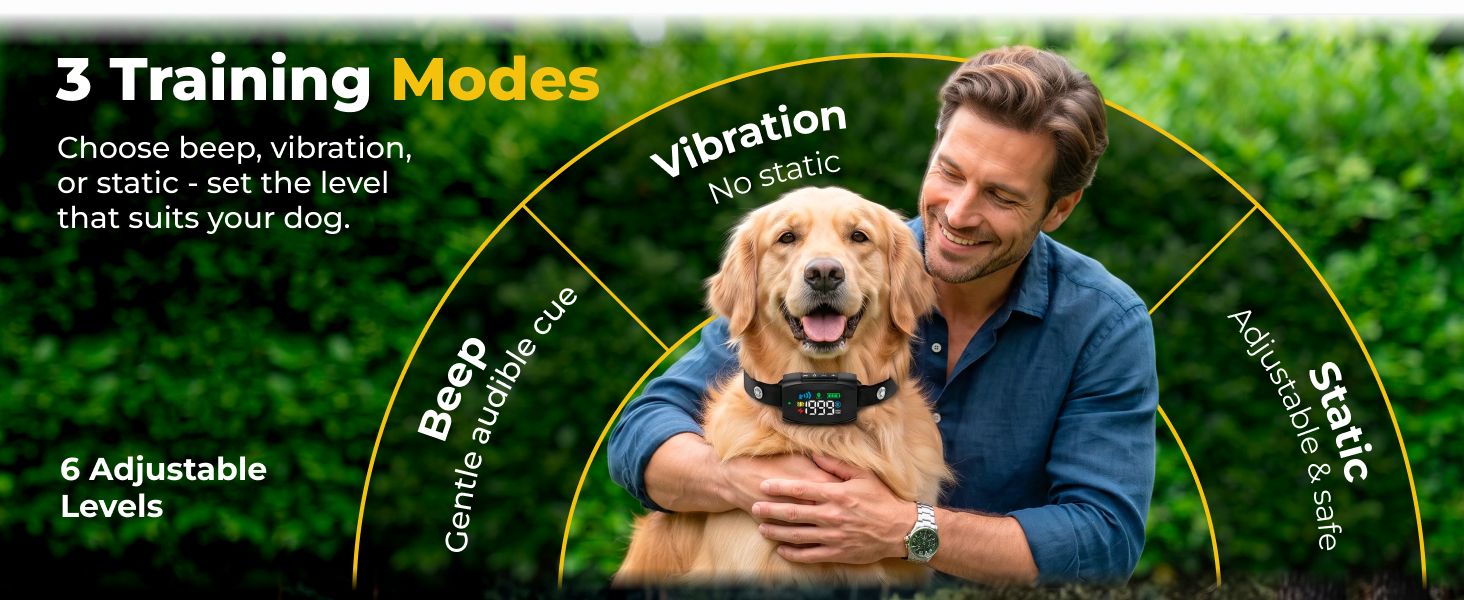 NaviPet A+ module 3