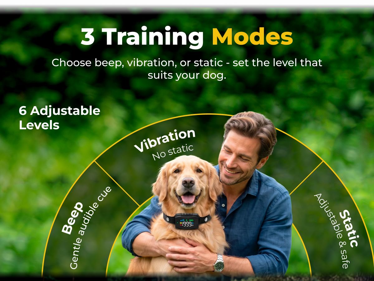 NaviPet mobile 3